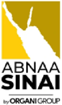 Abnaa Sinai, Organi Group